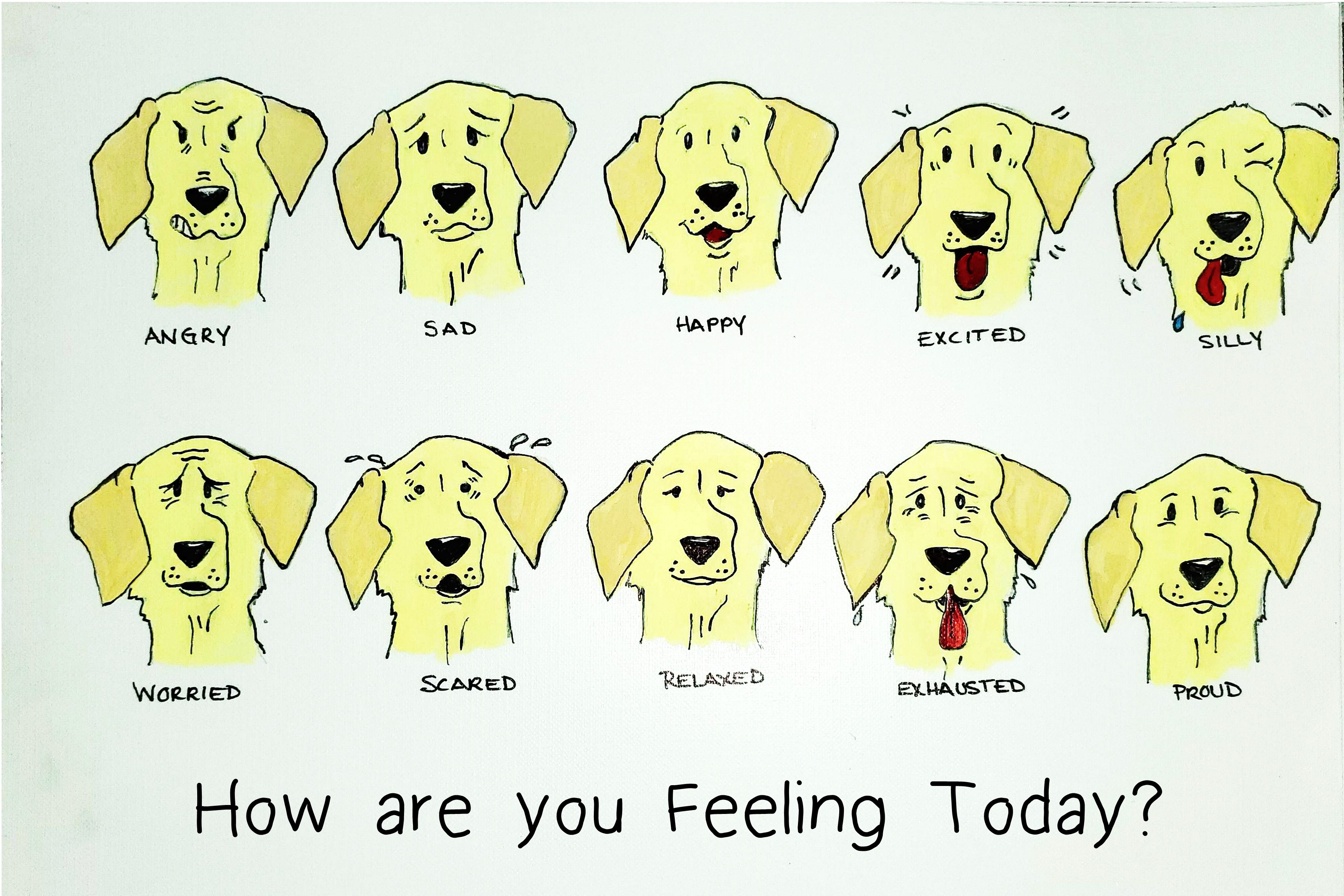 Leroy's Emotions Chart