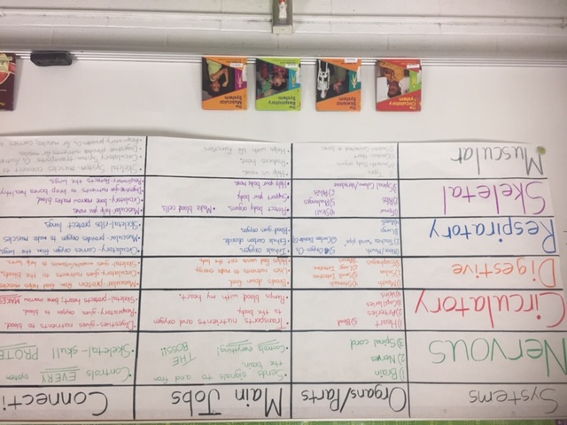 Why a Graphic Organizer Instructional Strategy Is Crucial for Effective  Instruction