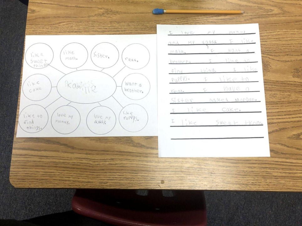 cause and effect graphic organizer high school